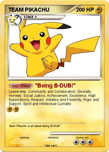 Pokemon TEAM PIKACHU