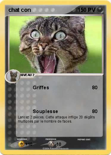 Pokemon chat con