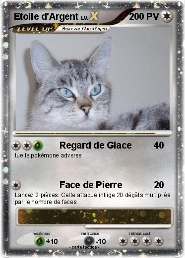 Pokemon Etoile d'Argent