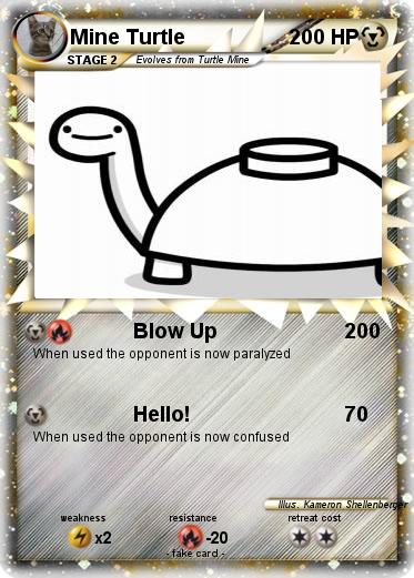 Pokemon Mine Turtle