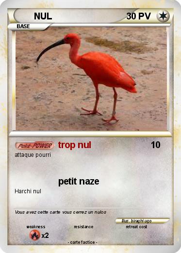 Pokemon NUL