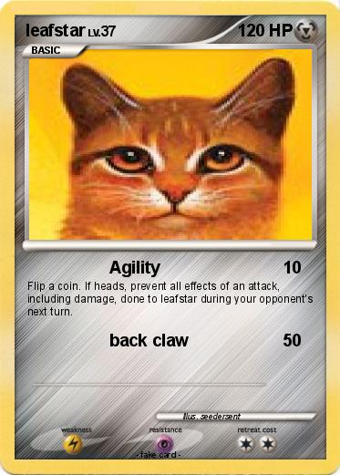Pokemon leafstar
