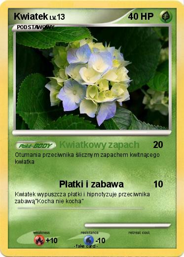 Pokemon Kwiatek