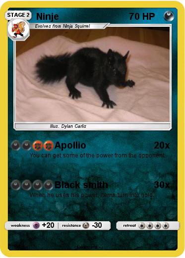 Pokemon Ninje