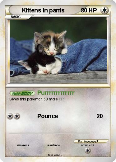 Pokemon Kittens in pants
