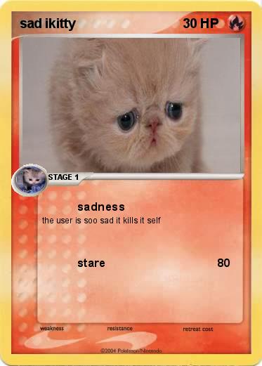 Pokemon sad ikitty