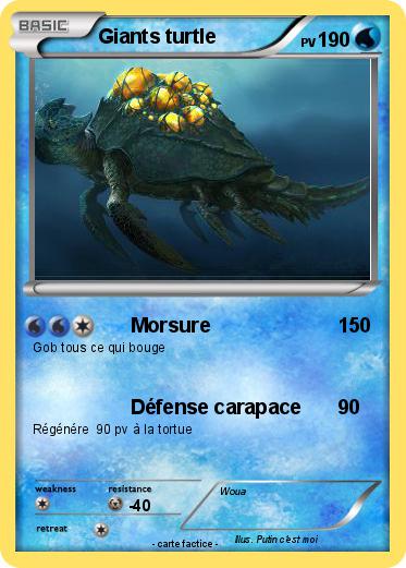 Pokemon Giants turtle