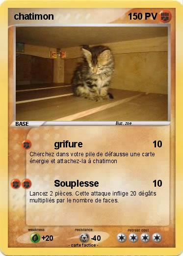 Pokemon chatimon
