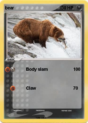 Pokemon bear