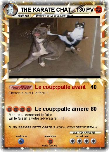 Pokemon THE KARATE CHAT