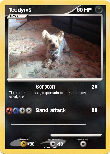 Pokemon Teddy