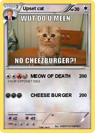 Pokemon Upset cat
