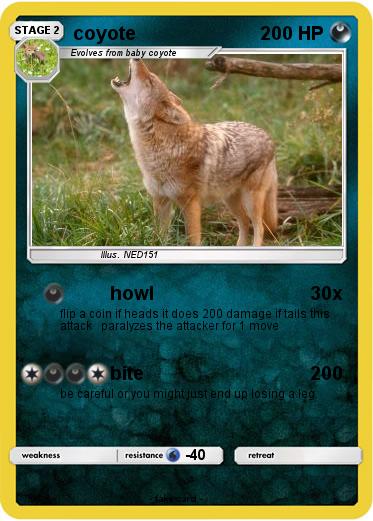 Pokemon coyote