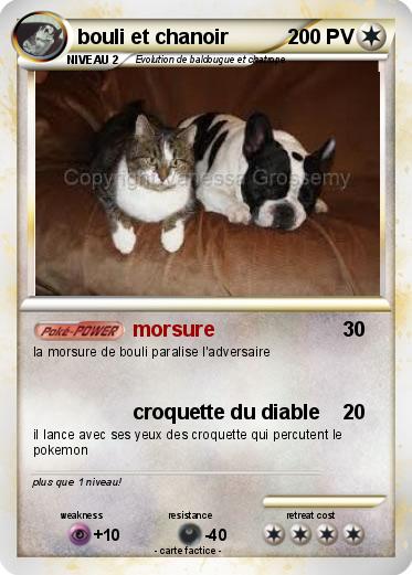Pokemon bouli et chanoir