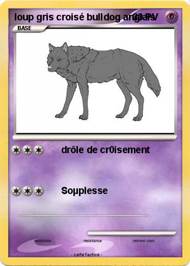 Pokemon loup gris croisé bulldog anglais