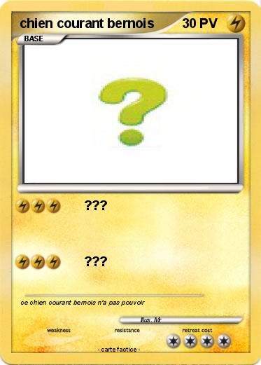 Pokemon chien courant bernois