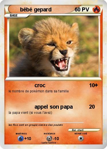 Pokemon bébé gepard