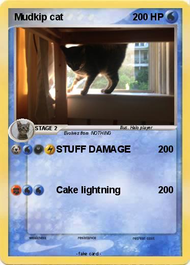 Pokemon Mudkip cat