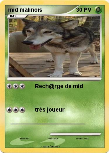 Pokemon mid malinois