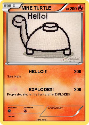 Pokemon MINE TURTLE