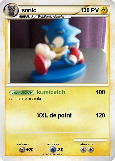 Pokemon sonic