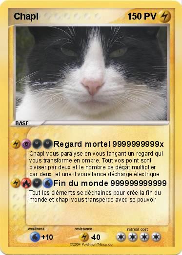 Pokemon Chapi