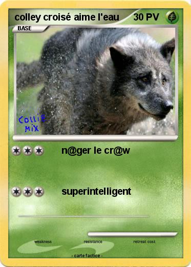 Pokemon colley croisé aime l'eau