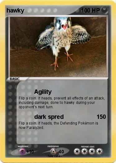 Pokemon hawky