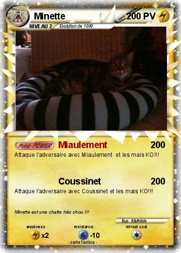 Pokemon Minette
