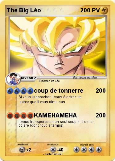 Pokemon The Big Léo