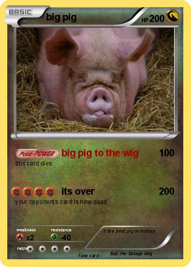 Pokemon big pig