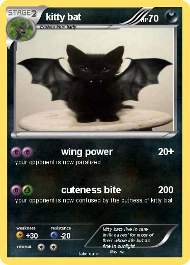 Pokemon kitty bat