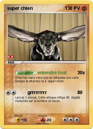 Pokemon super chien