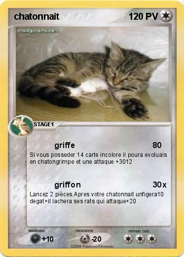 Pokemon chatonnait