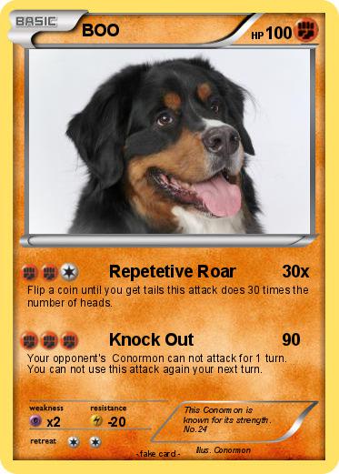 Pokemon BOO