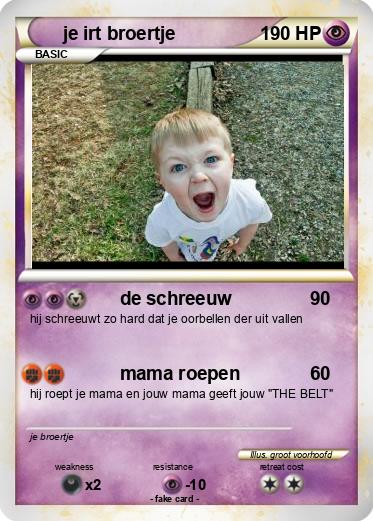 Pokemon je irt broertje
