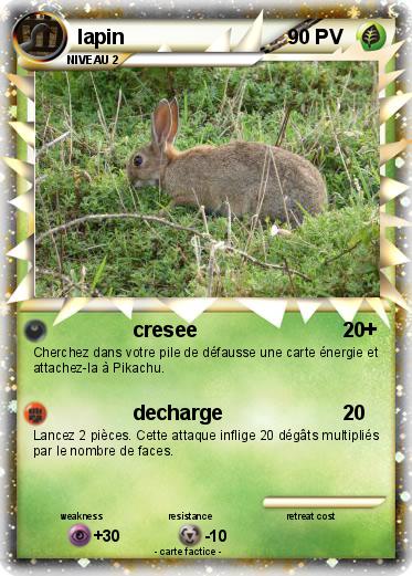 Pokemon lapin