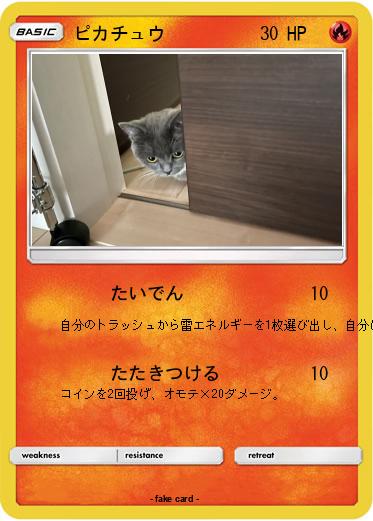 Pokemon ピカチュウ