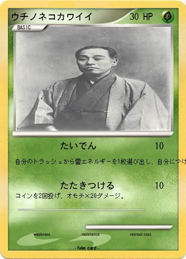 Pokemon ウチノネコカワイイ