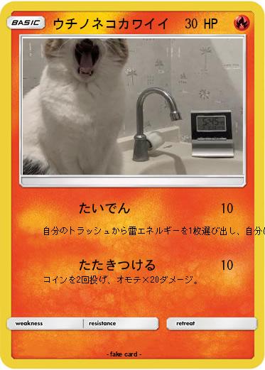 Pokemon ウチノネコカワイイ