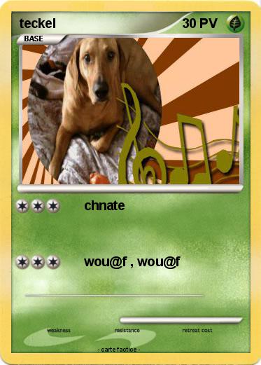 Pokemon teckel