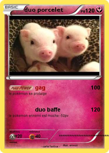 Pokemon duo porcelet