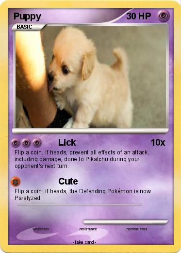 Pokemon Puppy