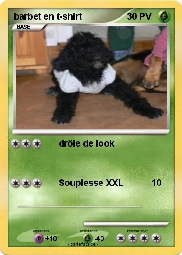 Pokemon barbet en t-shirt
