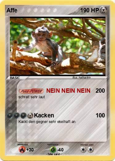 Pokemon Affe