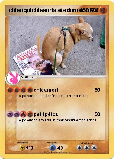 Pokemon chienquichiesurlatetedumec niv.X