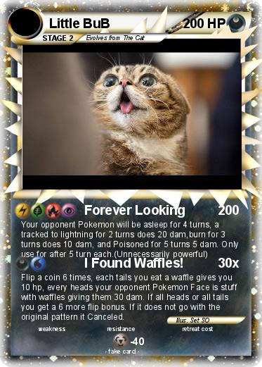 Pokemon Little BuB