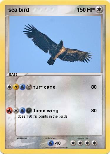 Pokemon sea bird