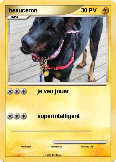 Pokemon beauceron