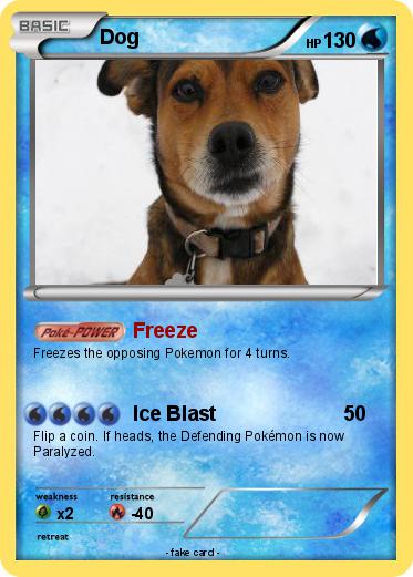 Pokemon Dog